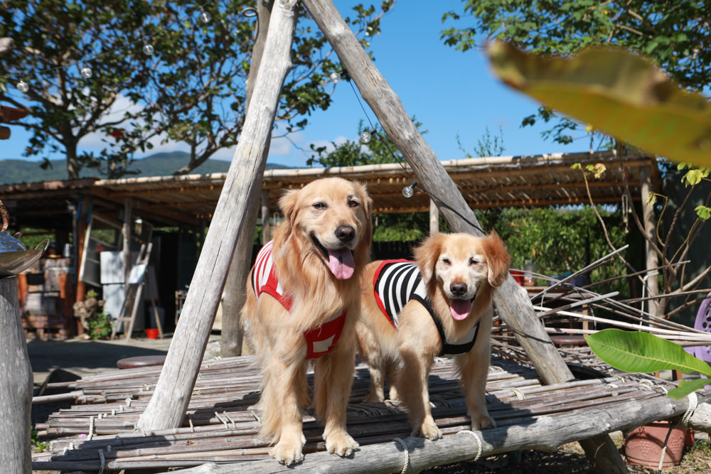 屏東墾丁滿洲秘境｜開門見山樹屋咖啡 。寵物友善餐廳、樹屋景觀咖啡廳、隱身鄉野溪邊的墾丁私房景點