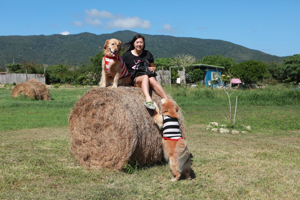 屏東墾丁滿洲秘境｜開門見山樹屋咖啡 。寵物友善餐廳、樹屋景觀咖啡廳、隱身鄉野溪邊的墾丁私房景點