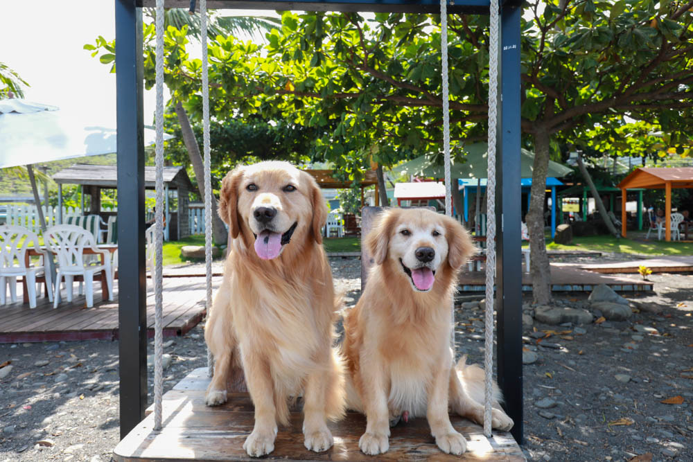 屏東枋山｜魔幻咖啡。寵物友善餐廳、墾丁海景咖啡廳、網美打卡景點、絕美海景、墾丁順遊景點