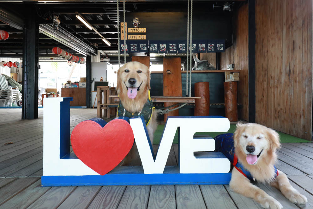 屏東枋山｜魔幻咖啡。寵物友善餐廳、墾丁海景咖啡廳、網美打卡景點、絕美海景、墾丁順遊景點