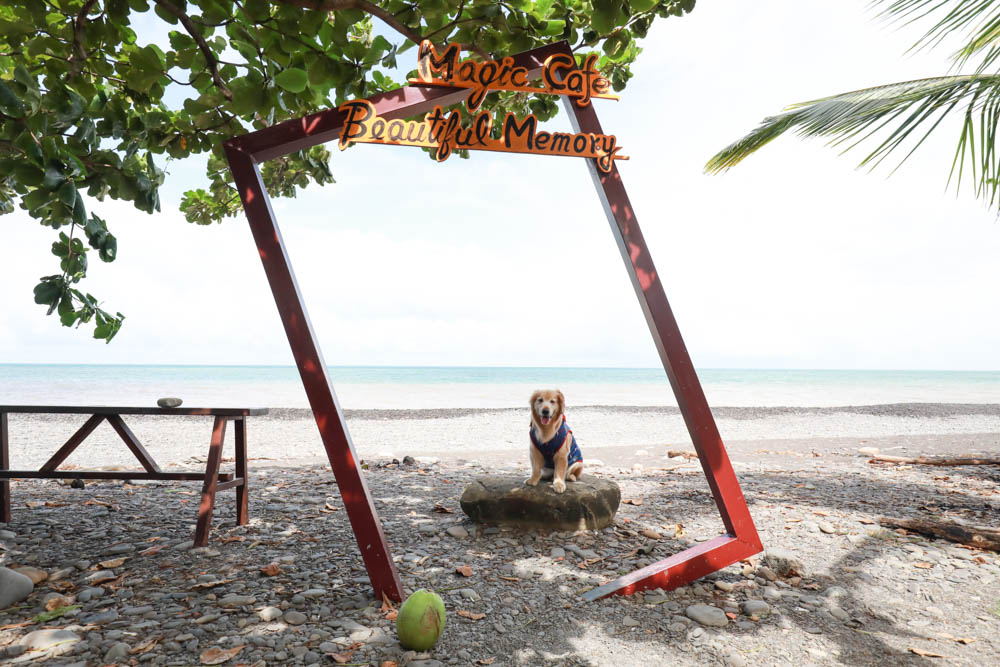 屏東枋山｜魔幻咖啡。寵物友善餐廳、墾丁海景咖啡廳、網美打卡景點、絕美海景、墾丁順遊景點