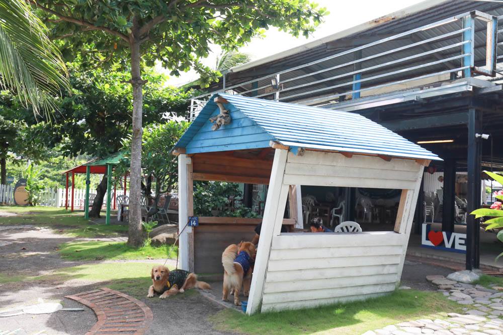 屏東枋山｜魔幻咖啡。寵物友善餐廳、墾丁海景咖啡廳、網美打卡景點、絕美海景、墾丁順遊景點