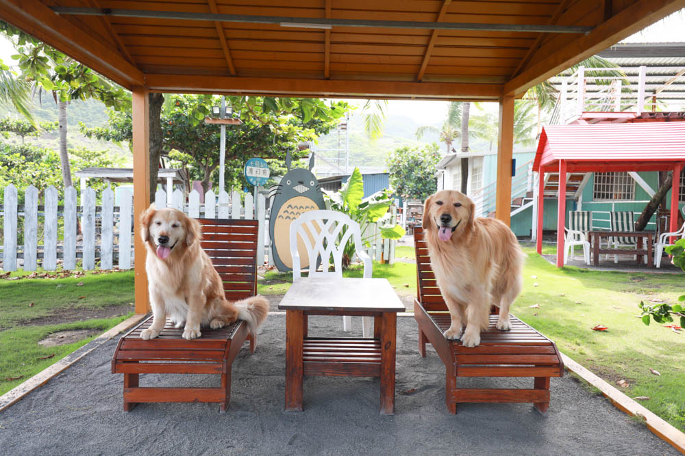 屏東枋山｜魔幻咖啡。寵物友善餐廳、墾丁海景咖啡廳、網美打卡景點、絕美海景、墾丁順遊景點