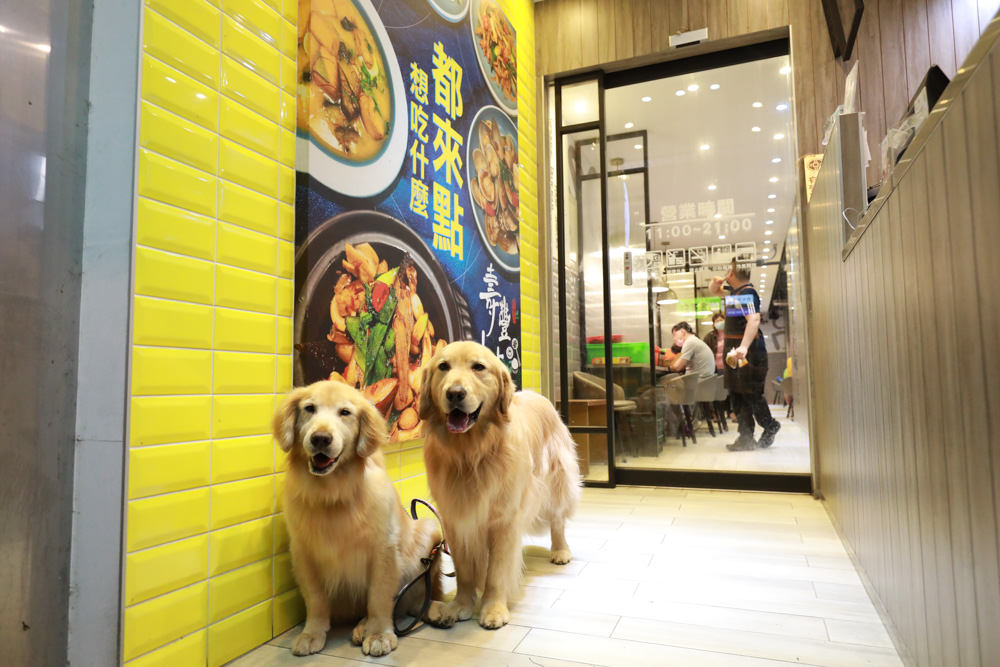 花蓮必吃美食｜壽豐小吃慶豐店。超美味無骨鵝肉、家常熱炒料理、鵝魯飯、寵物友善餐廳