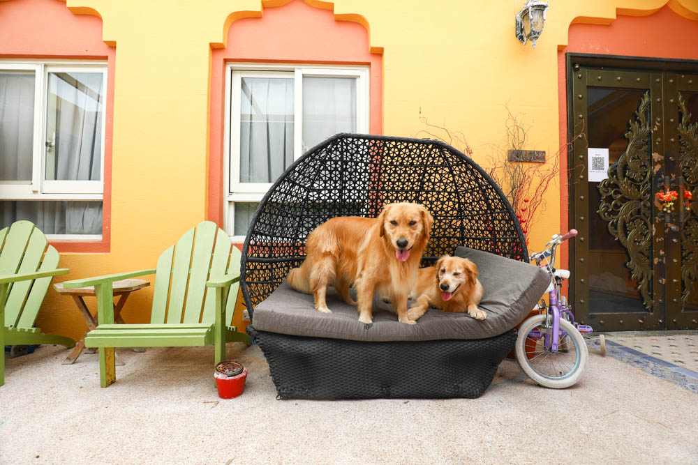 宜蘭夏爾迦民宿｜寵物友善、親子房溜滑梯、網美風情中東異國風情城堡、無菜單創意異國料理、中東特色早餐