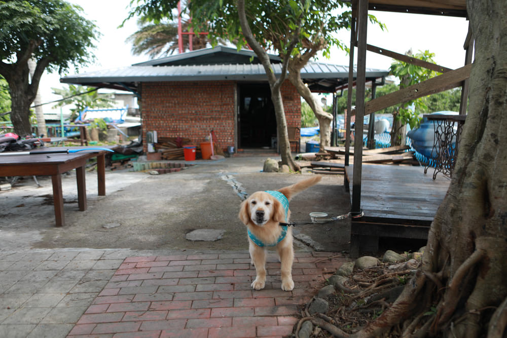 宜蘭五結｜海角魯魯Wavelulu獨木舟SUP、沙灘車暢遊蘭陽溪祕境（夏爾迦民宿代報名有優惠）