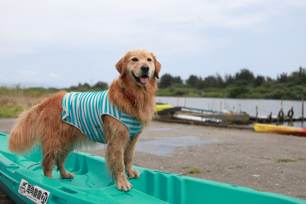 宜蘭五結｜海角魯魯Wavelulu獨木舟SUP、沙灘車暢遊蘭陽溪祕境（夏爾迦民宿代報名有優惠）