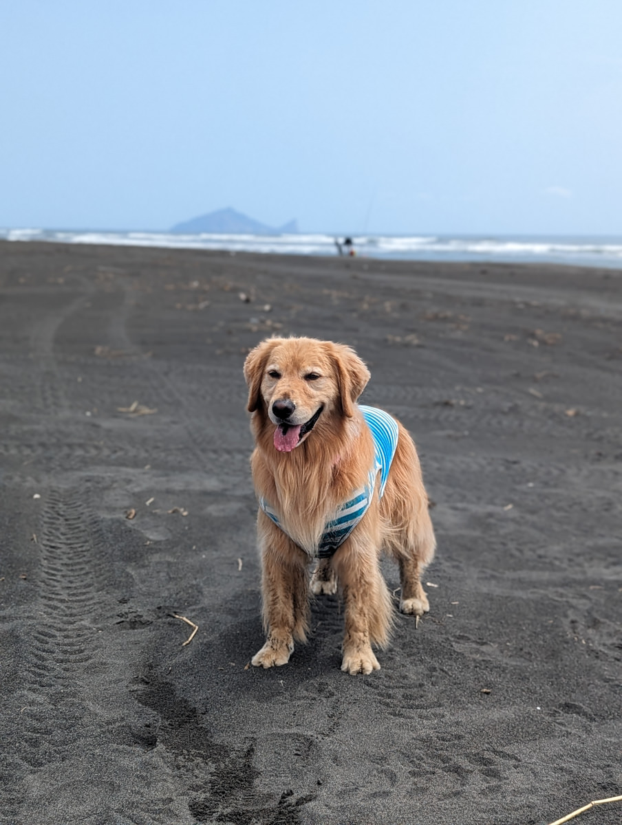 宜蘭五結｜海角魯魯Wavelulu獨木舟SUP、沙灘車暢遊蘭陽溪祕境（夏爾迦民宿代報名有優惠）