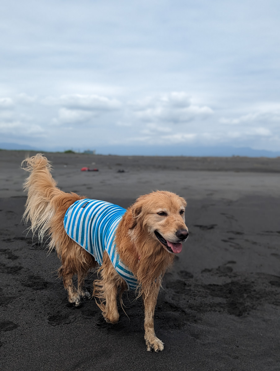宜蘭五結｜海角魯魯Wavelulu獨木舟SUP、沙灘車暢遊蘭陽溪祕境（夏爾迦民宿代報名有優惠）