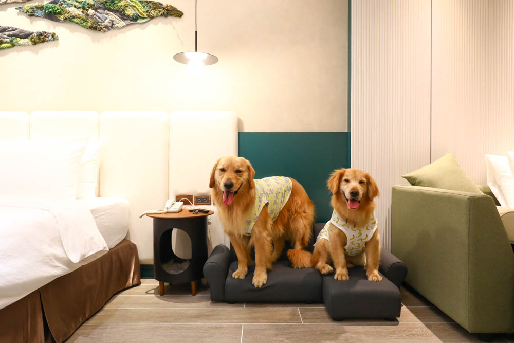 高雄楠梓｜多野樂旅館Dogether Hotel。寵物友善旅館、寵物友善餐廳、寵物游泳池