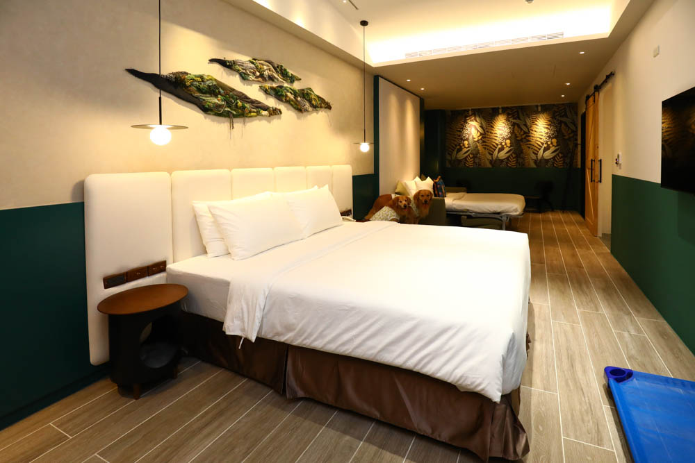 高雄楠梓｜多野樂旅館Dogether Hotel。寵物友善旅館、寵物友善餐廳、寵物游泳池
