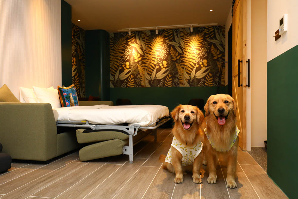 高雄楠梓｜多野樂旅館Dogether Hotel。寵物友善旅館、寵物友善餐廳、寵物游泳池