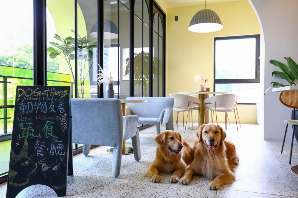 高雄楠梓｜多野樂旅館Dogether Hotel。寵物友善旅館、寵物友善餐廳、寵物游泳池
