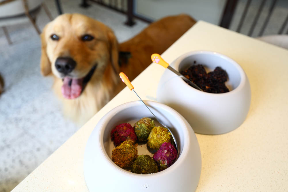 高雄楠梓｜多野樂旅館Dogether Hotel。寵物友善旅館、寵物友善餐廳、寵物游泳池