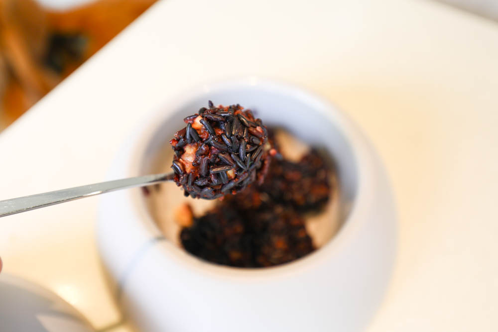 高雄楠梓｜多野樂旅館Dogether Hotel。寵物友善旅館、寵物友善餐廳、寵物游泳池