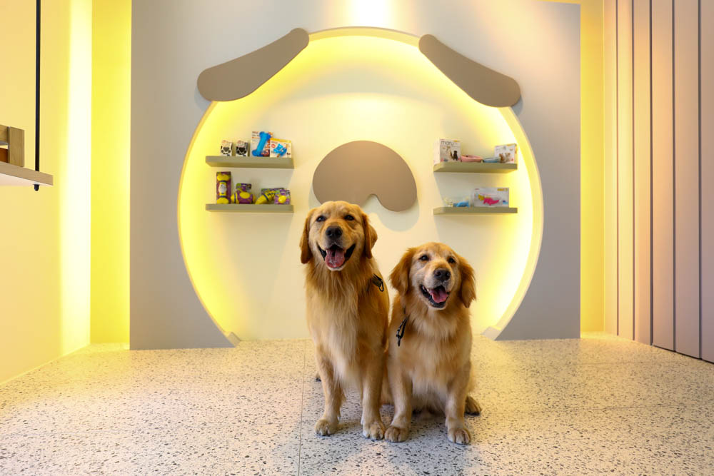 高雄楠梓｜多野樂旅館Dogether Hotel。寵物友善旅館、寵物友善餐廳、寵物游泳池