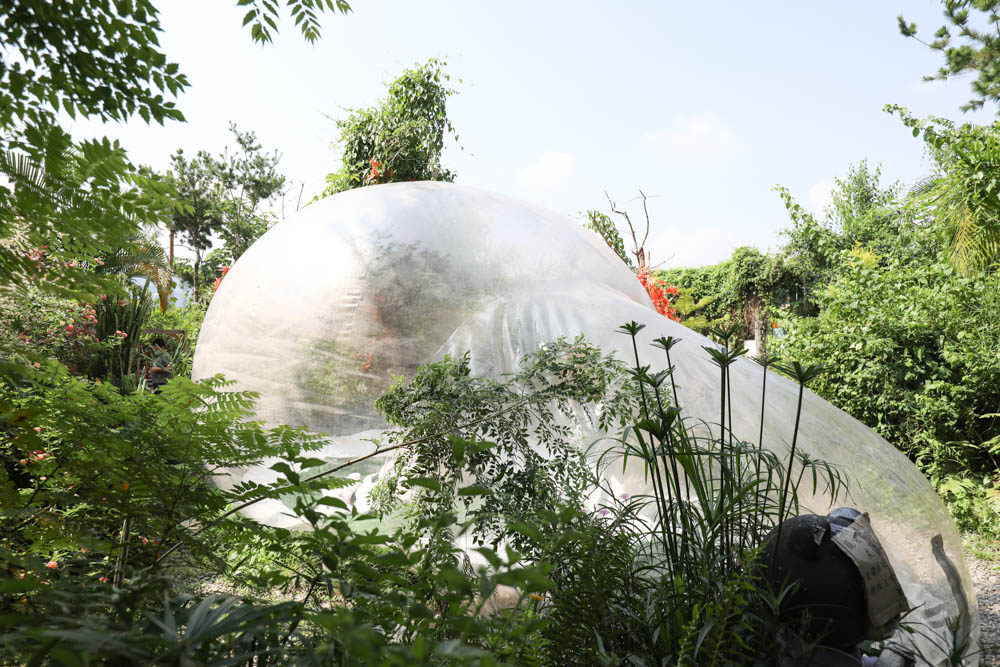南投埔里景點|多肉秘境。藍色地球、夢幻泡泡屋、寵物友善景點、多肉植物、盆栽diy - 第13張圖 南投埔里景點|多肉秘境。藍色地球、夢幻泡泡屋、寵物友善景點、多肉植物、盆栽diy