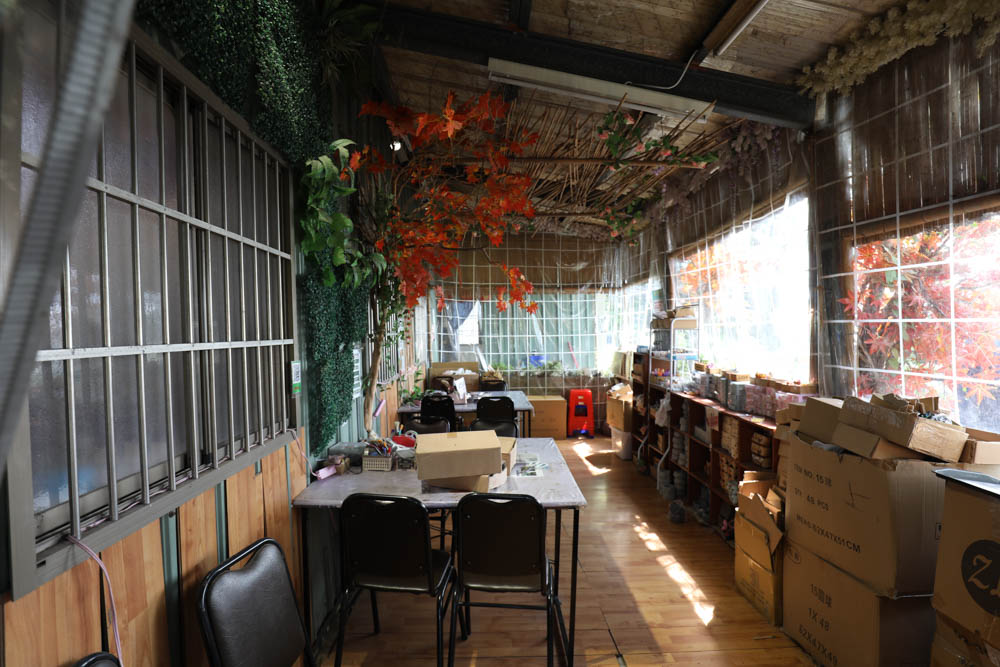 南投埔里景點|多肉秘境。藍色地球、夢幻泡泡屋、寵物友善景點、多肉植物、盆栽diy - 第11張圖 南投埔里景點|多肉秘境。藍色地球、夢幻泡泡屋、寵物友善景點、多肉植物、盆栽diy