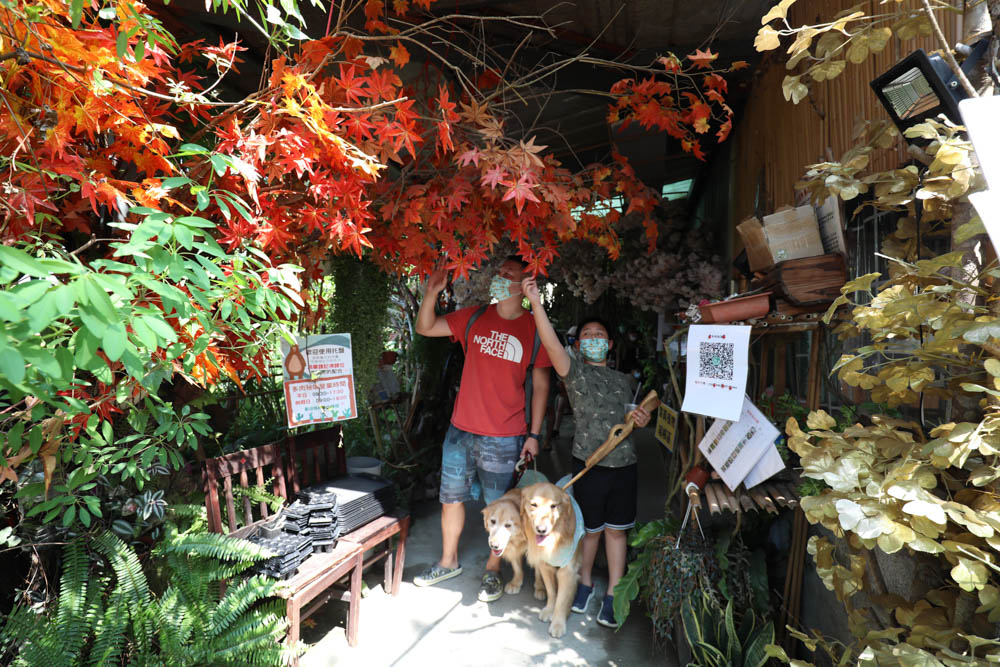 南投埔里景點|多肉秘境。藍色地球、夢幻泡泡屋、寵物友善景點、多肉植物、盆栽diy - 第10張圖 南投埔里景點|多肉秘境。藍色地球、夢幻泡泡屋、寵物友善景點、多肉植物、盆栽diy