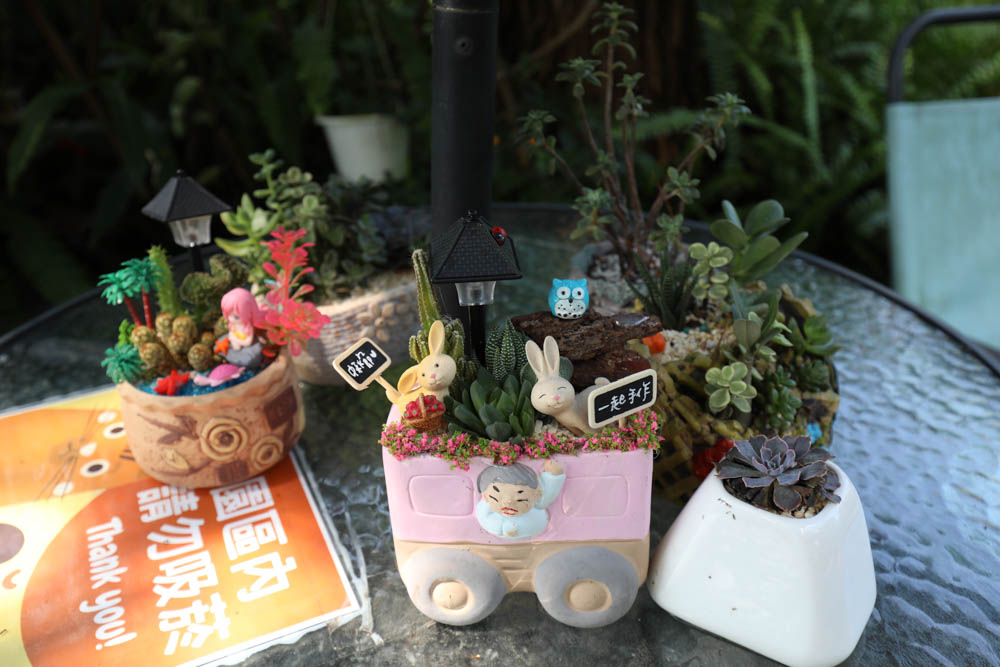 南投埔里景點|多肉秘境。藍色地球、夢幻泡泡屋、寵物友善景點、多肉植物、盆栽diy - 第3張圖 南投埔里景點|多肉秘境。藍色地球、夢幻泡泡屋、寵物友善景點、多肉植物、盆栽diy