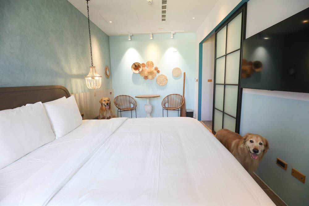 高雄寵物友善旅館|多野樂旅館DOGETHER HOTEL。複合式寵物友善旅宿、五星級飯店精緻服務 - 第40張圖 高雄寵物友善旅館|多野樂旅館DOGETHER HOTEL。複合式寵物友善旅宿、五星級飯店精緻服務