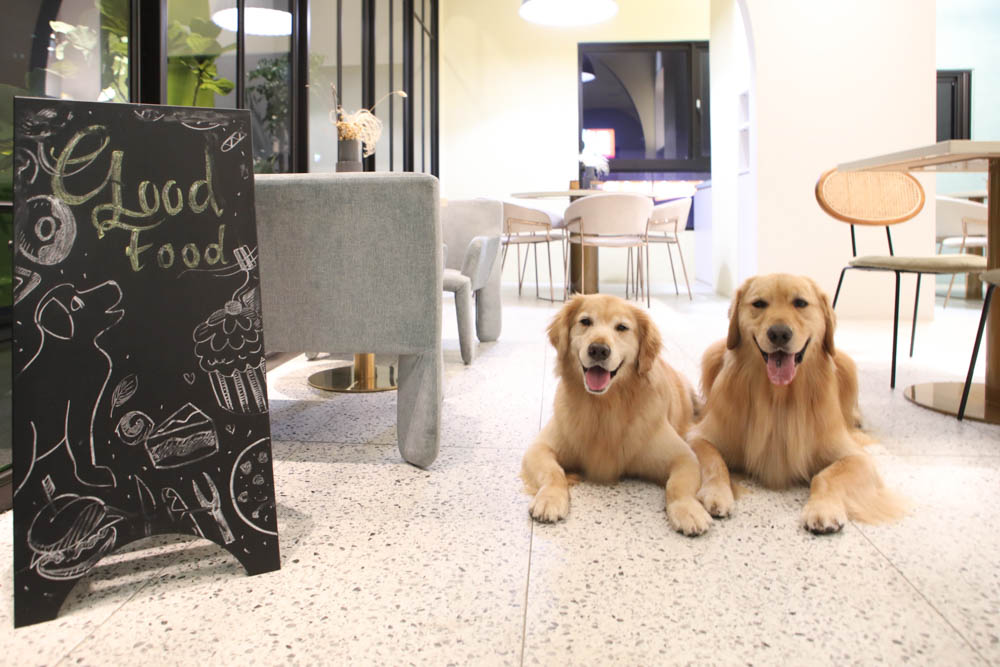 高雄美食|多野樂旅館 DOGETHER HOTEL 異國蔬食餐廳。寵物友善餐廳、當季當令食材、多國創意料理 - 第2張圖 高雄美食|多野樂旅館 DOGETHER HOTEL 異國蔬食餐廳。寵物友善餐廳、當季當令食材、多國創意料理