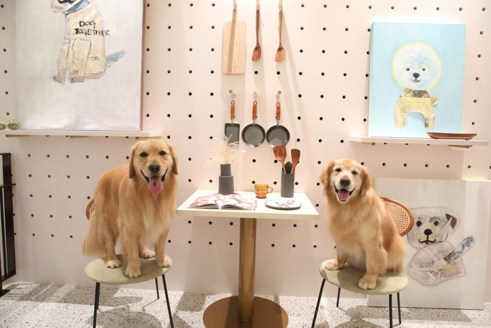 高雄美食|多野樂旅館 DOGETHER HOTEL 異國蔬食餐廳。寵物友善餐廳、當季當令食材、多國創意料理 - 第3張圖 高雄美食|多野樂旅館 DOGETHER HOTEL 異國蔬食餐廳。寵物友善餐廳、當季當令食材、多國創意料理