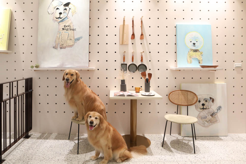 高雄美食|多野樂旅館 DOGETHER HOTEL 異國蔬食餐廳。寵物友善餐廳、當季當令食材、多國創意料理 - 第10張圖 高雄美食|多野樂旅館 DOGETHER HOTEL 異國蔬食餐廳。寵物友善餐廳、當季當令食材、多國創意料理