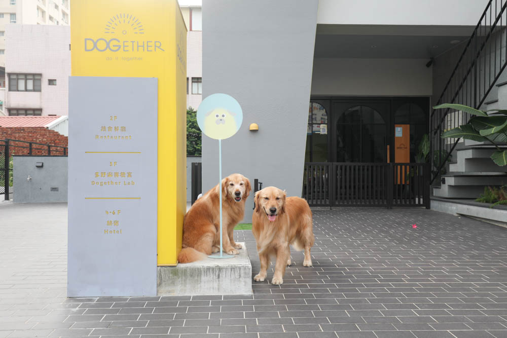 高雄寵物友善旅館|多野樂旅館DOGETHER HOTEL。複合式寵物友善旅宿、五星級飯店精緻服務 - 第3張圖 高雄寵物友善旅館|多野樂旅館DOGETHER HOTEL。複合式寵物友善旅宿、五星級飯店精緻服務