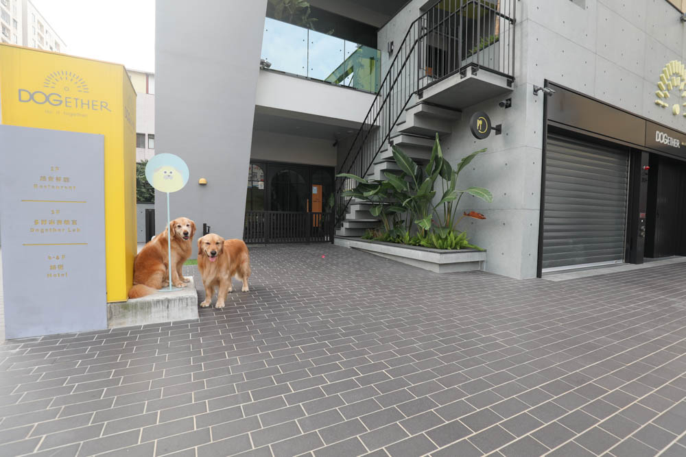 高雄美食|多野樂旅館 DOGETHER HOTEL 異國蔬食餐廳。寵物友善餐廳、當季當令食材、多國創意料理 - 第27張圖 高雄美食|多野樂旅館 DOGETHER HOTEL 異國蔬食餐廳。寵物友善餐廳、當季當令食材、多國創意料理