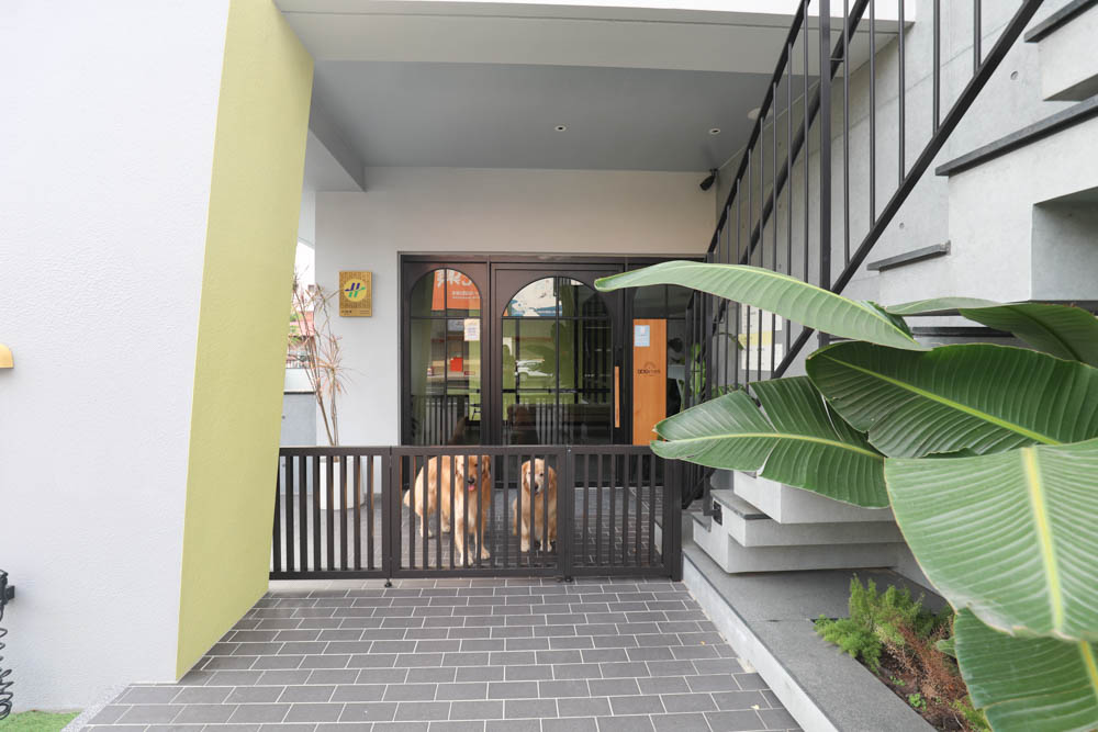 高雄寵物友善旅館|多野樂旅館DOGETHER HOTEL。複合式寵物友善旅宿、五星級飯店精緻服務 - 第4張圖 高雄寵物友善旅館|多野樂旅館DOGETHER HOTEL。複合式寵物友善旅宿、五星級飯店精緻服務