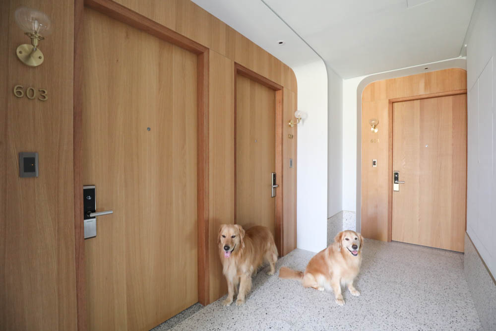 高雄寵物友善旅館|多野樂旅館DOGETHER HOTEL。複合式寵物友善旅宿、五星級飯店精緻服務 - 第10張圖 高雄寵物友善旅館|多野樂旅館DOGETHER HOTEL。複合式寵物友善旅宿、五星級飯店精緻服務