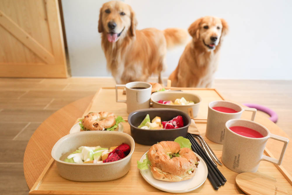 高雄寵物友善旅館|多野樂旅館DOGETHER HOTEL。複合式寵物友善旅宿、五星級飯店精緻服務 - 第44張圖 高雄寵物友善旅館|多野樂旅館DOGETHER HOTEL。複合式寵物友善旅宿、五星級飯店精緻服務