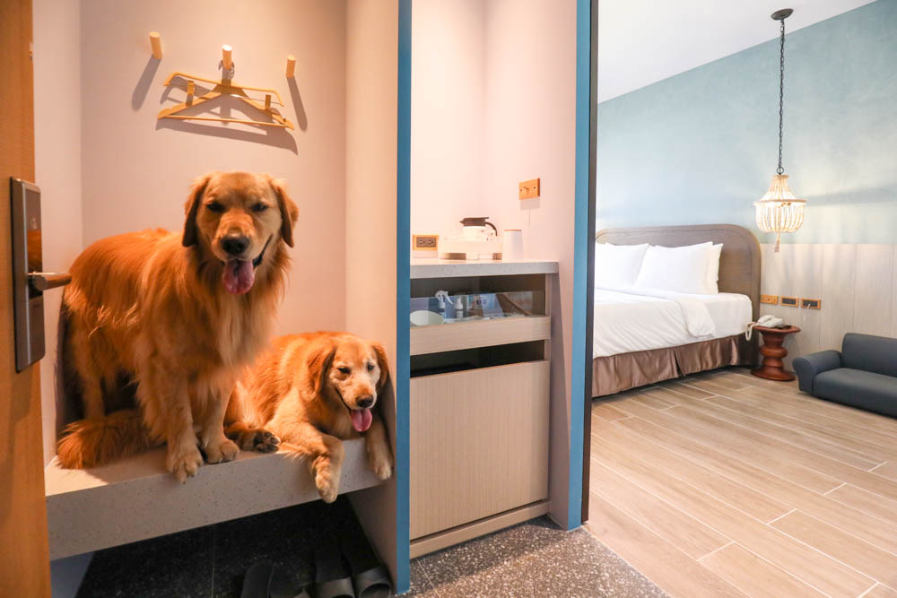 高雄寵物友善旅館|多野樂旅館DOGETHER HOTEL。複合式寵物友善旅宿、五星級飯店精緻服務 - 第42張圖 高雄寵物友善旅館|多野樂旅館DOGETHER HOTEL。複合式寵物友善旅宿、五星級飯店精緻服務