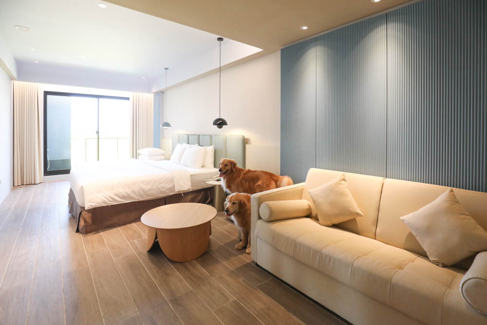 高雄寵物友善旅館|多野樂旅館DOGETHER HOTEL。複合式寵物友善旅宿、五星級飯店精緻服務 - 第14張圖 高雄寵物友善旅館|多野樂旅館DOGETHER HOTEL。複合式寵物友善旅宿、五星級飯店精緻服務