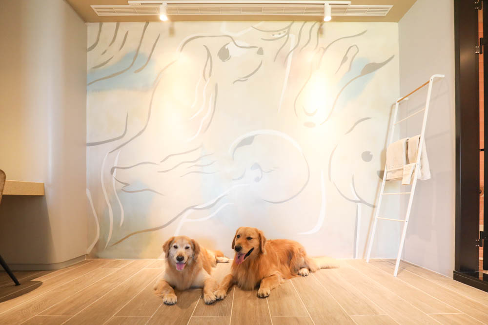 高雄寵物友善旅館|多野樂旅館DOGETHER HOTEL。複合式寵物友善旅宿、五星級飯店精緻服務 - 第20張圖 高雄寵物友善旅館|多野樂旅館DOGETHER HOTEL。複合式寵物友善旅宿、五星級飯店精緻服務