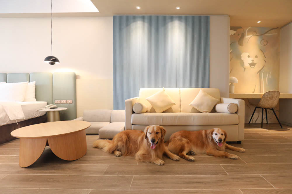高雄寵物友善旅館|多野樂旅館DOGETHER HOTEL。複合式寵物友善旅宿、五星級飯店精緻服務 - 第1張圖 高雄寵物友善旅館|多野樂旅館DOGETHER HOTEL。複合式寵物友善旅宿、五星級飯店精緻服務