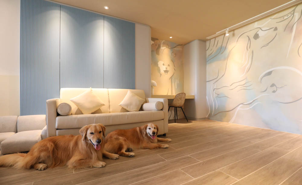 高雄寵物友善旅館|多野樂旅館DOGETHER HOTEL。複合式寵物友善旅宿、五星級飯店精緻服務 - 第18張圖 高雄寵物友善旅館|多野樂旅館DOGETHER HOTEL。複合式寵物友善旅宿、五星級飯店精緻服務