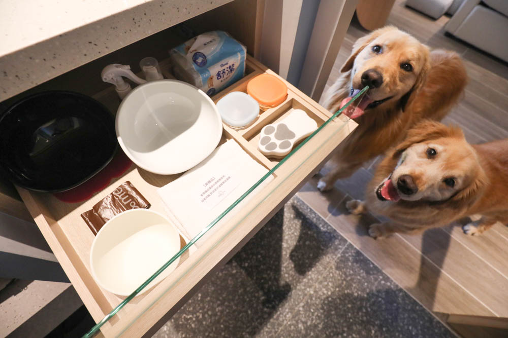 高雄寵物友善旅館|多野樂旅館DOGETHER HOTEL。複合式寵物友善旅宿、五星級飯店精緻服務 - 第21張圖 高雄寵物友善旅館|多野樂旅館DOGETHER HOTEL。複合式寵物友善旅宿、五星級飯店精緻服務