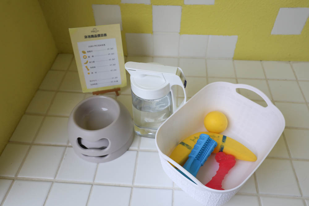 高雄寵物泳池|多野樂旅館 DOGETHER Hotel預約制寵物專屬游泳池、附設寵物美容SPA、寵物自助洗、銀銅離子淨水 - 第14張圖 高雄寵物泳池|多野樂旅館 DOGETHER Hotel預約制寵物專屬游泳池、附設寵物美容SPA、寵物自助洗、銀銅離子淨水