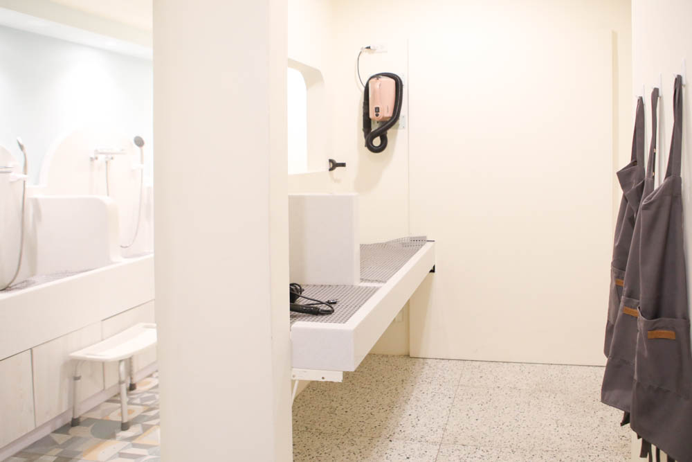 高雄寵物泳池|多野樂旅館 DOGETHER Hotel預約制寵物專屬游泳池、附設寵物美容SPA、寵物自助洗、銀銅離子淨水 - 第6張圖 高雄寵物泳池|多野樂旅館 DOGETHER Hotel預約制寵物專屬游泳池、附設寵物美容SPA、寵物自助洗、銀銅離子淨水