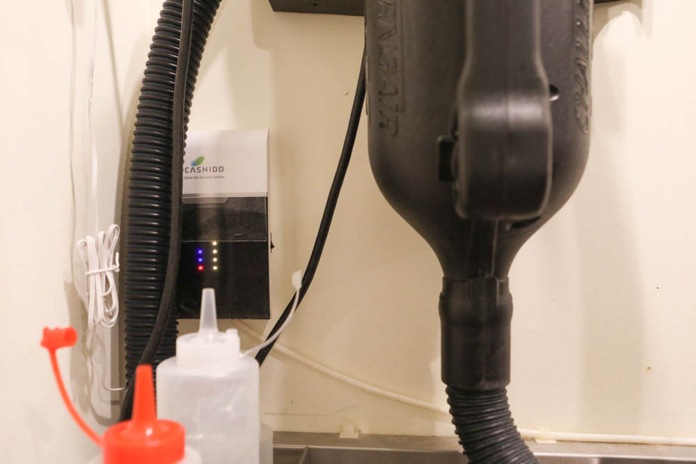 高雄寵物泳池|多野樂旅館 DOGETHER Hotel預約制寵物專屬游泳池、附設寵物美容SPA、寵物自助洗、銀銅離子淨水 - 第29張圖 高雄寵物泳池|多野樂旅館 DOGETHER Hotel預約制寵物專屬游泳池、附設寵物美容SPA、寵物自助洗、銀銅離子淨水