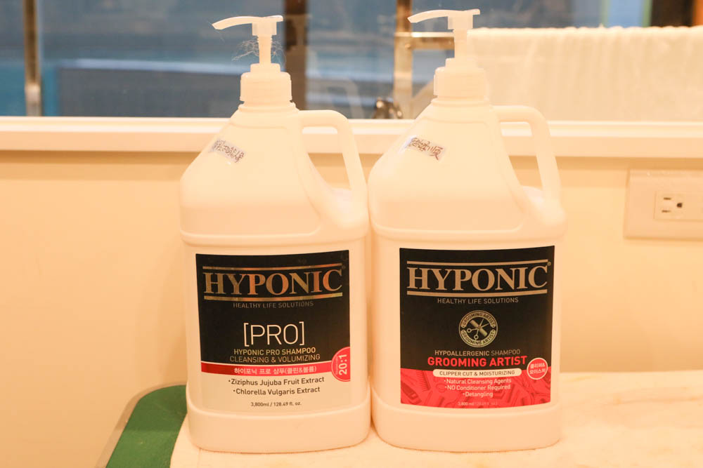 高雄寵物泳池|多野樂旅館 DOGETHER Hotel預約制寵物專屬游泳池、附設寵物美容SPA、寵物自助洗、銀銅離子淨水 - 第30張圖 高雄寵物泳池|多野樂旅館 DOGETHER Hotel預約制寵物專屬游泳池、附設寵物美容SPA、寵物自助洗、銀銅離子淨水