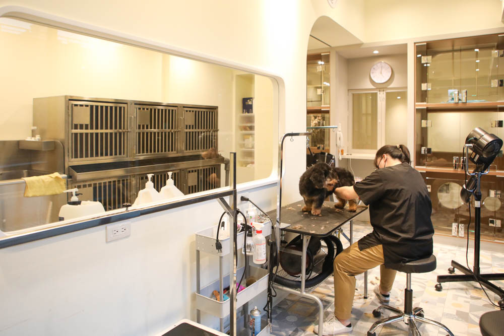 高雄寵物泳池|多野樂旅館 DOGETHER Hotel預約制寵物專屬游泳池、附設寵物美容SPA、寵物自助洗、銀銅離子淨水 - 第31張圖 高雄寵物泳池|多野樂旅館 DOGETHER Hotel預約制寵物專屬游泳池、附設寵物美容SPA、寵物自助洗、銀銅離子淨水