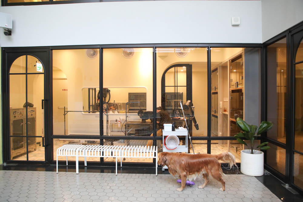 高雄寵物泳池|多野樂旅館 DOGETHER Hotel預約制寵物專屬游泳池、附設寵物美容SPA、寵物自助洗、銀銅離子淨水 - 第26張圖 高雄寵物泳池|多野樂旅館 DOGETHER Hotel預約制寵物專屬游泳池、附設寵物美容SPA、寵物自助洗、銀銅離子淨水