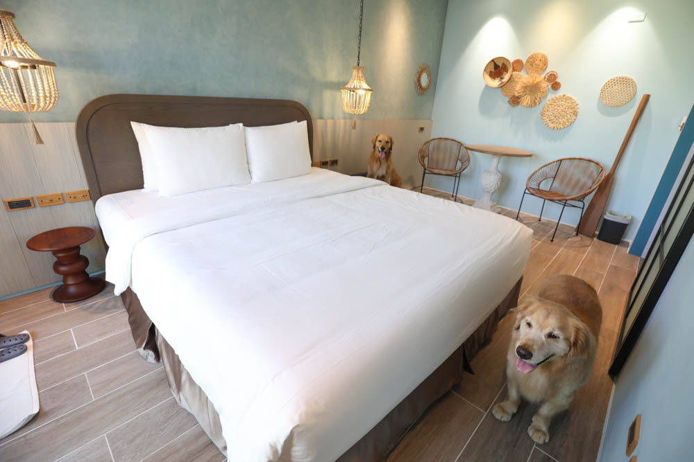 高雄寵物友善旅館|多野樂旅館DOGETHER HOTEL。複合式寵物友善旅宿、五星級飯店精緻服務 - 第41張圖 高雄寵物友善旅館|多野樂旅館DOGETHER HOTEL。複合式寵物友善旅宿、五星級飯店精緻服務