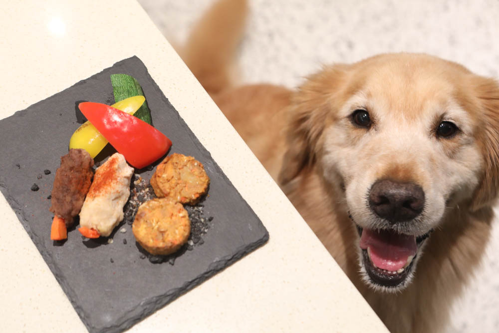 高雄美食|多野樂旅館 DOGETHER HOTEL 異國蔬食餐廳。寵物友善餐廳、當季當令食材、多國創意料理 - 第21張圖 高雄美食|多野樂旅館 DOGETHER HOTEL 異國蔬食餐廳。寵物友善餐廳、當季當令食材、多國創意料理