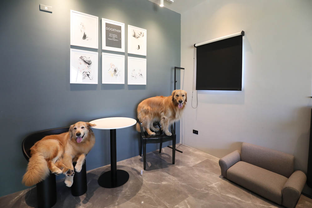 高雄寵物友善旅館|多野樂旅館DOGETHER HOTEL。複合式寵物友善旅宿、五星級飯店精緻服務 - 第35張圖 高雄寵物友善旅館|多野樂旅館DOGETHER HOTEL。複合式寵物友善旅宿、五星級飯店精緻服務