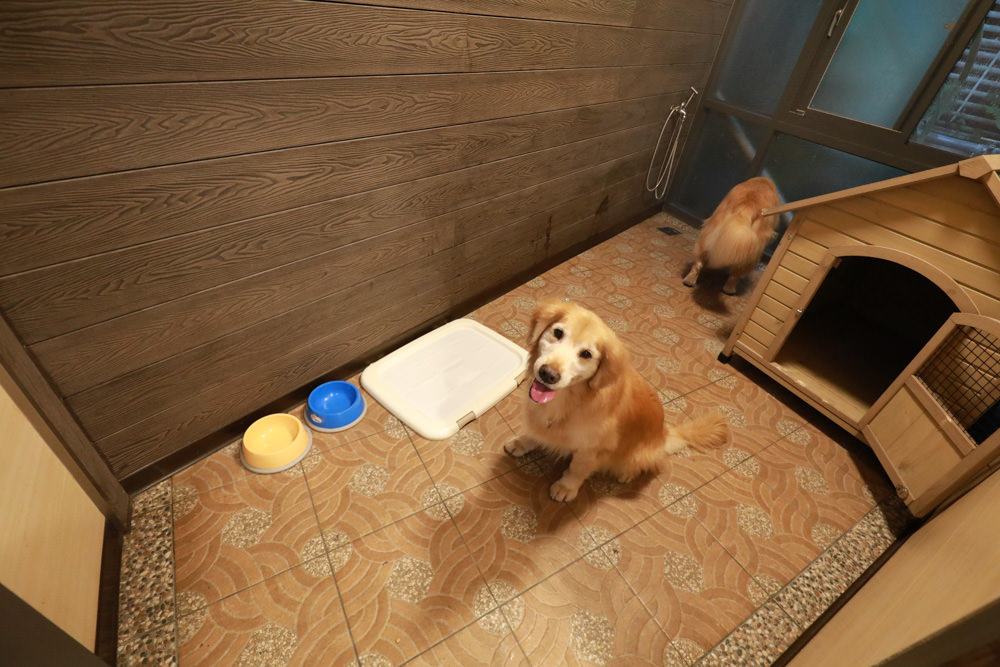 台北三峽寵物友善飯店|大板根森林溫泉酒店。寵物客房、帶毛小孩爬山體驗森林芬多精吧! - 第41張圖 台北三峽寵物友善飯店|大板根森林溫泉酒店。寵物客房、帶毛小孩爬山體驗森林芬多精吧!