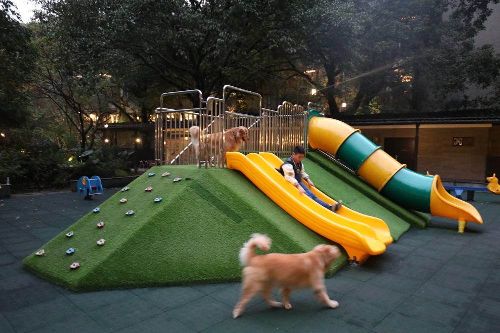 台北三峽寵物友善飯店|大板根森林溫泉酒店。寵物客房、帶毛小孩爬山體驗森林芬多精吧! - 第66張圖 台北三峽寵物友善飯店|大板根森林溫泉酒店。寵物客房、帶毛小孩爬山體驗森林芬多精吧!